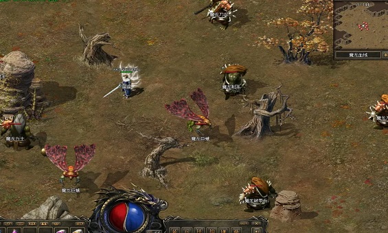 以热爱之名,赴江湖之约 以热爱之名,赴江湖之约